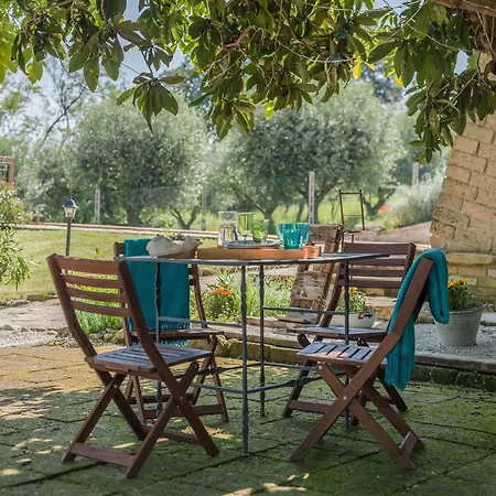 Malu 8 * Mogliano